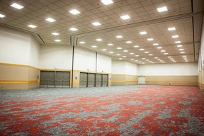 Spacious, well-lit empty room with patterned red and gray carpet. High ceiling with fluorescent lights. Closed doors line the beige walls.
